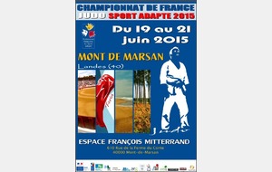 Championnat de France sport adapté