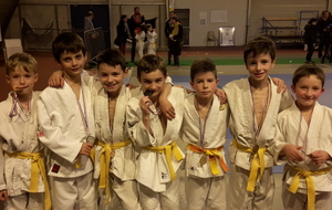 Interclubs Anjou Ouest Judo