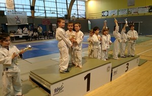 club judo montreuil-juigne