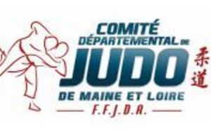 Stage sportif départemental Benjamins &amp; Minimes