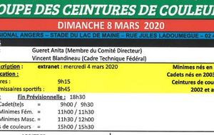 COUPE DES CEINTURES DE COULEURS