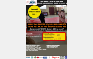 Coupe de l'Anjou par équipes de club séniors