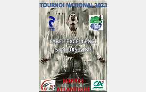 Tournoi national Excellence séniors M/F à Nantes
